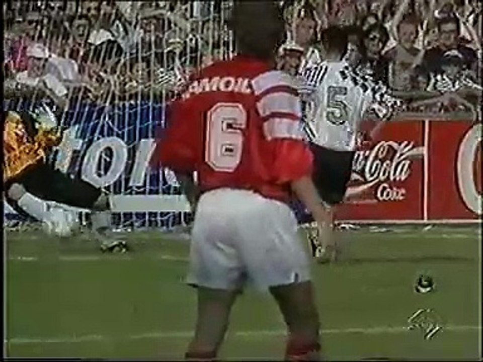 FC Aarau Schweizer Meister 1993