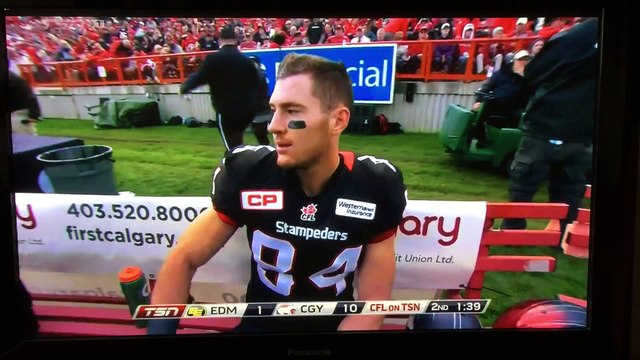 Rabbit runs onto football field during CFL game at McMahon Stadium