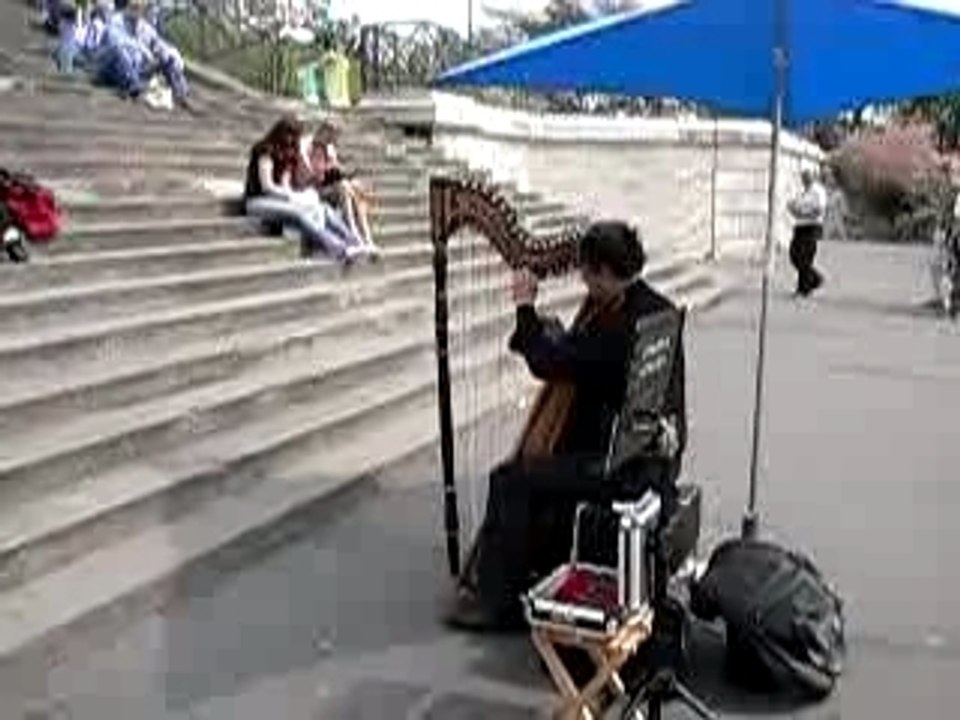 harpe celtique