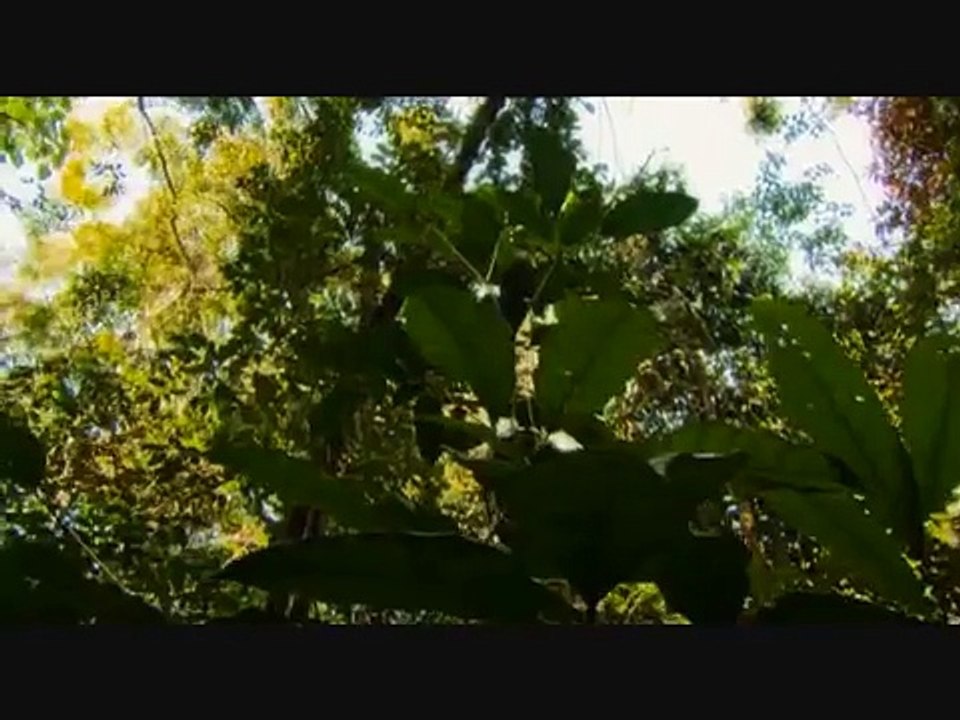Lost Land of the Volcano, Episode 2 (Part 5)