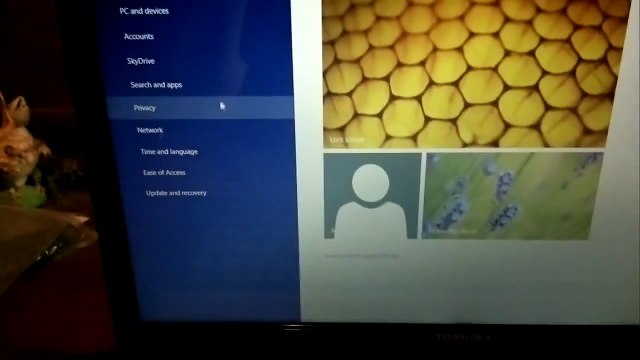 How To Enter Bios On Toshiba Satellite Laptop Windows 8.1