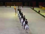 Dressage horse - Classical Riding - Spanish riding school
