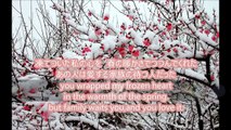 実らずの寒梅 japanese apricot flower in the snow/藤本恭子(japanese folk song)