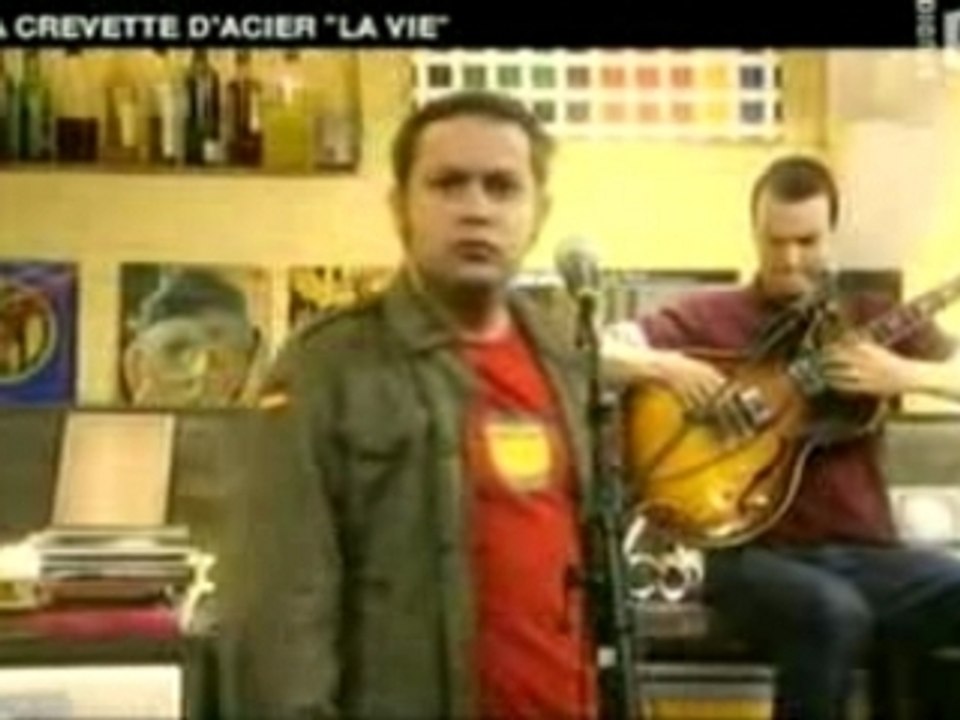Crevette d'acier : La vie