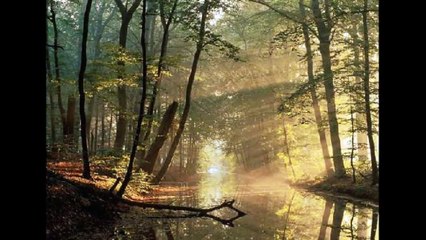 cry of the celts- Ronan Hardiman