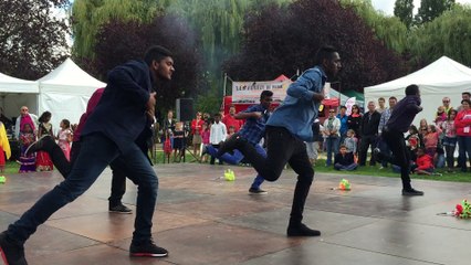 Forum 2015 - démonstration de danse Bollywood (hommes)