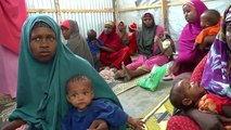 Medicinas, alimentos y atención a las familias: el día a día de UNICEF en Somalia