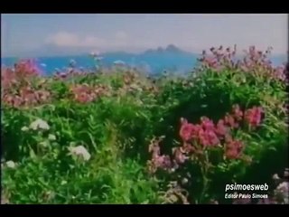 Birds - Eagles Life (Full Documentary)