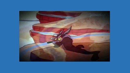 Road Runner Cartoon - Wild About Hurry