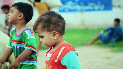 Pakistan - Land of Pure