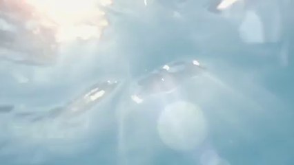 Piscines Desjoyaux : l'offre Hallucinante