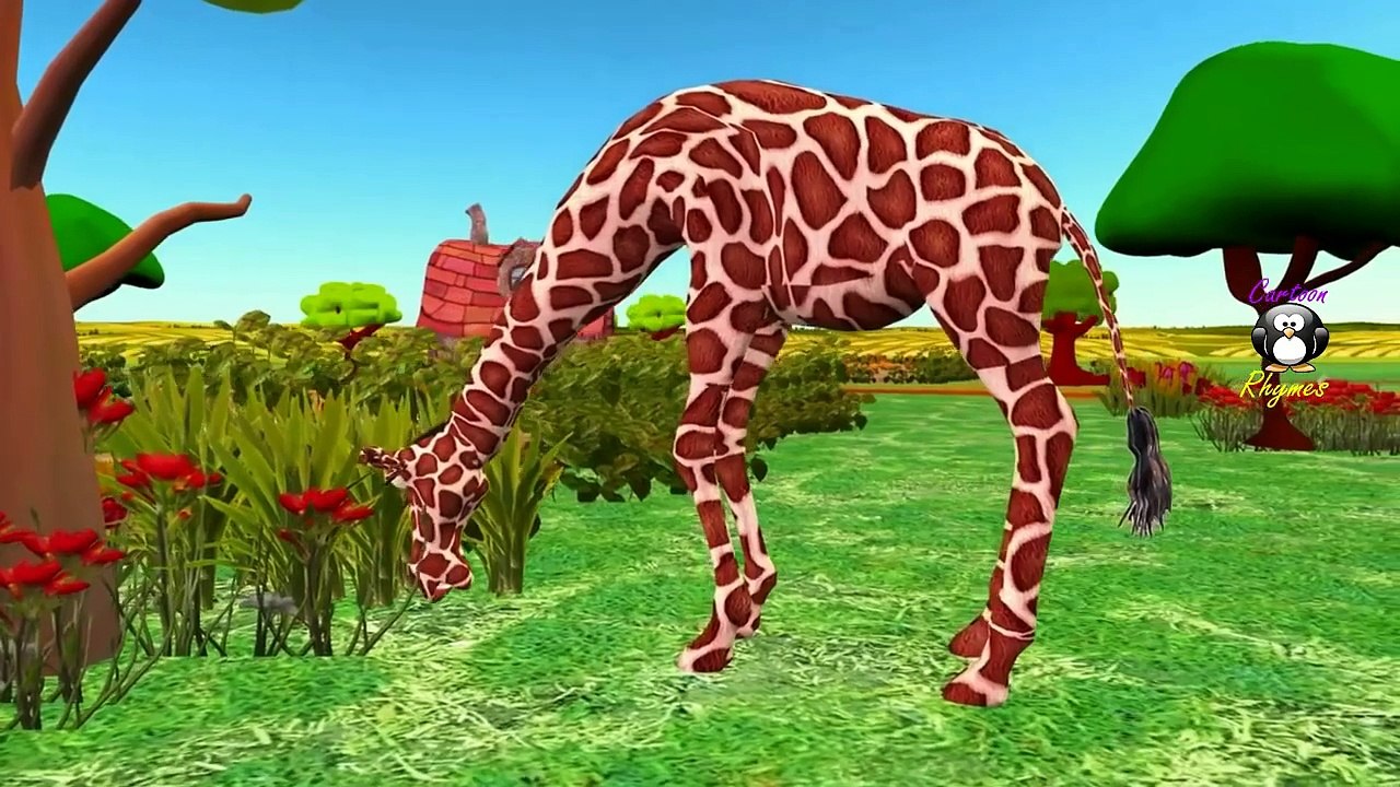 Finger Family Rhymes Giraffe Cartoon | Finger Family Songs | Finger Family Nursery Rhymes