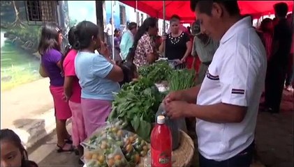 XIII Agroferia de Productos Orgánicos, Arte y Cultura