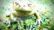 Poison dart frog - RANAS VENENOSAS- Baumsteigerfrösche- d'amphibiens