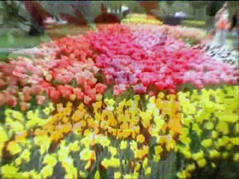 Klein & Mbo - Wonderful