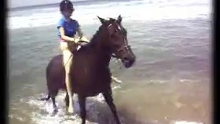 Swimming & riding my horse at the beach (: