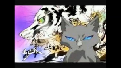 warrior cats top five funny animations
