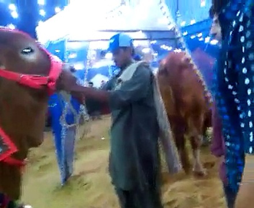 Brown nukray k 22 lac Aur brown jori k 30 lac