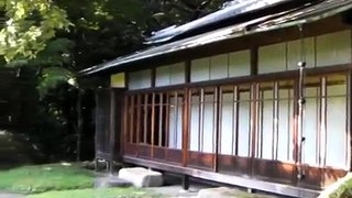 #19 Yoyogi Koen in Tokyo