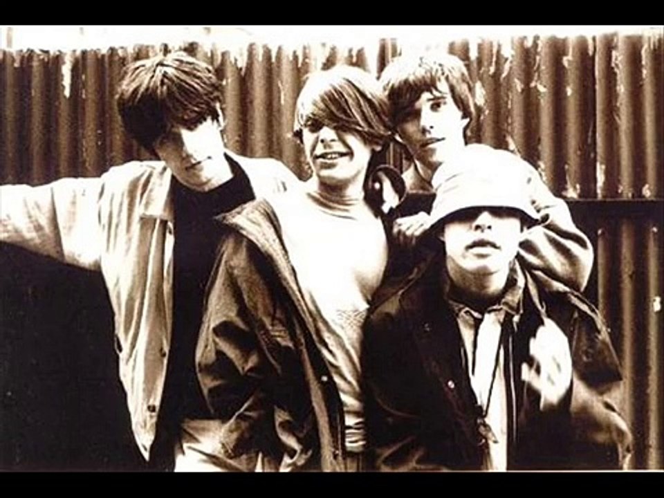 Stone Roses - Sally Cinnamon