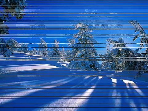 Haydn- Emperor Quartet in C Major - Mov. 1/4