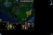 WARCRAFT 3 GAMEPLAY TEST ON PALIT NVIDIA GT210