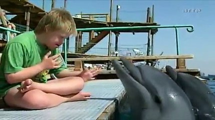 Baiji - Der letzte Weiße Delfin (Doku)