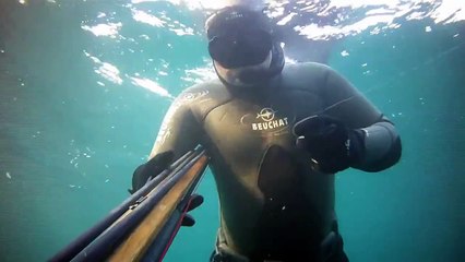 chasse un sar sauvè pris par un fil de peche