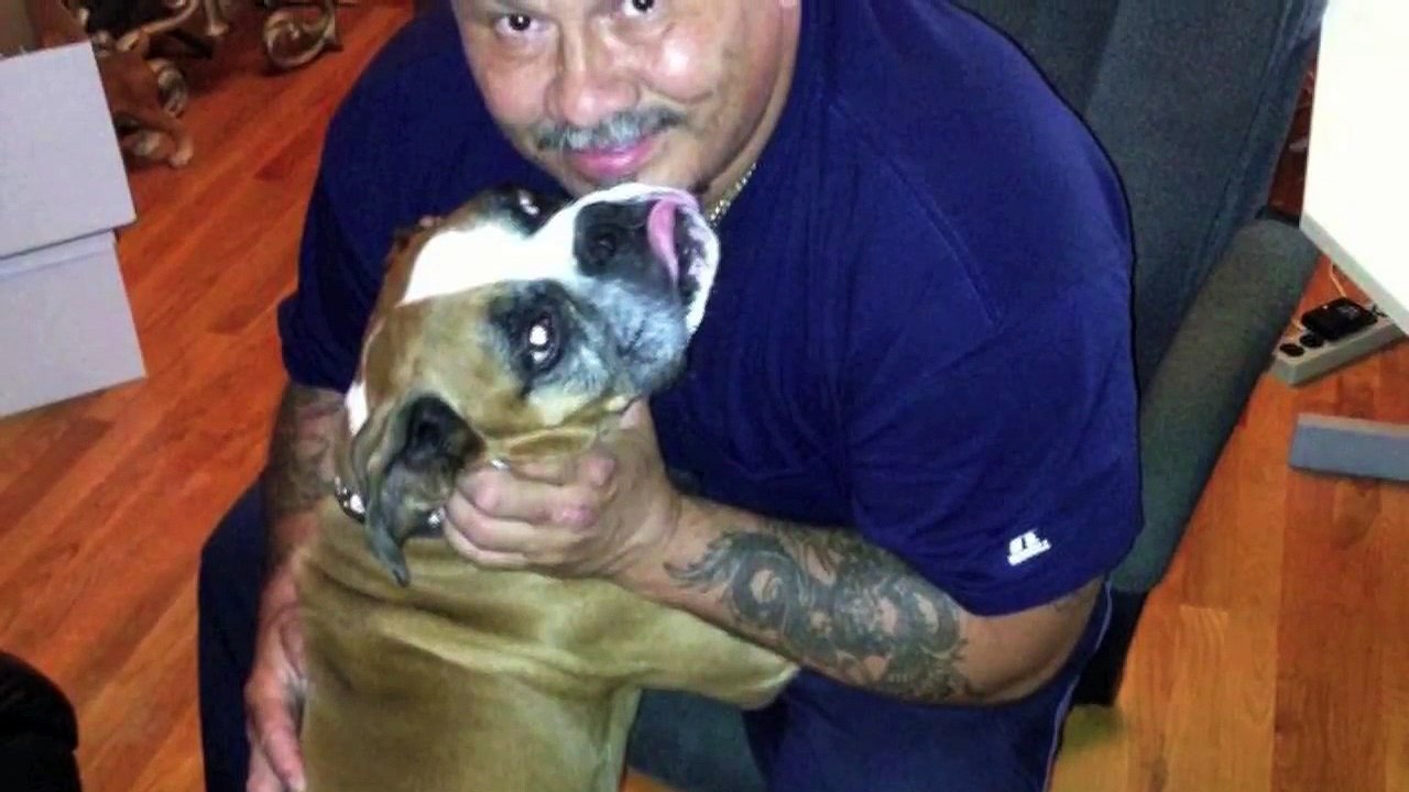 Saying Goodbye to Rocky | My Faithful Boxer Dog | RIP 7/29/13