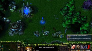 Warcraft III: Defense of the Ancients 1.1 gameplay