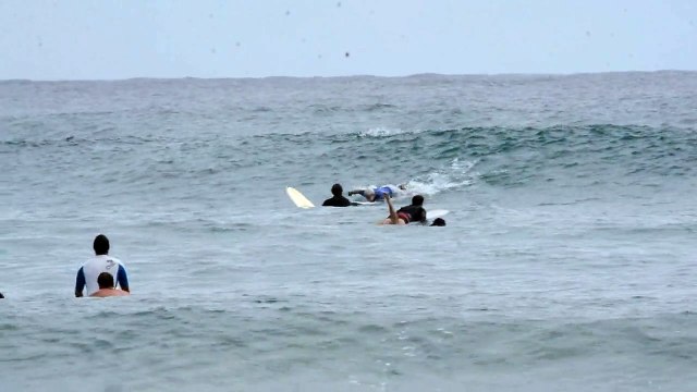 Australie : les dauphins s'invitent dans les vagues lors d'une session mémorable !