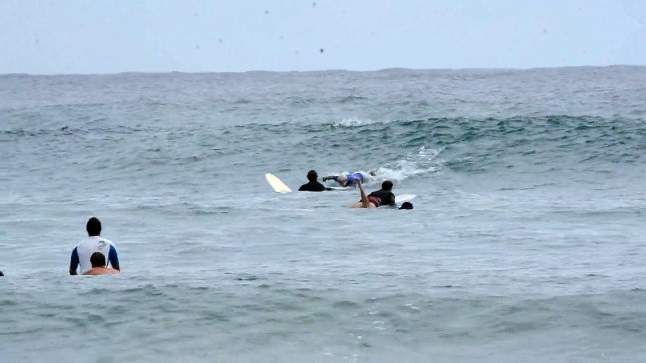 Australie : les dauphins s'invitent dans les vagues lors d'une session mémorable !