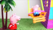 Pig George e Peppa Pig Brincando na Casa da Polly!! Em português DisneyKidsToys