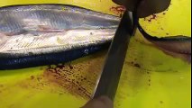 さんまの蒲焼き（Pacific saury Teriyaki source）