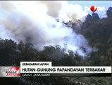 Hutan Gunung Papandayan Terbakar