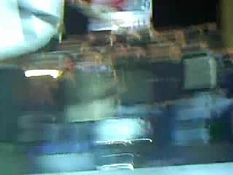 Orsi Ribelli (Staggione 2004)