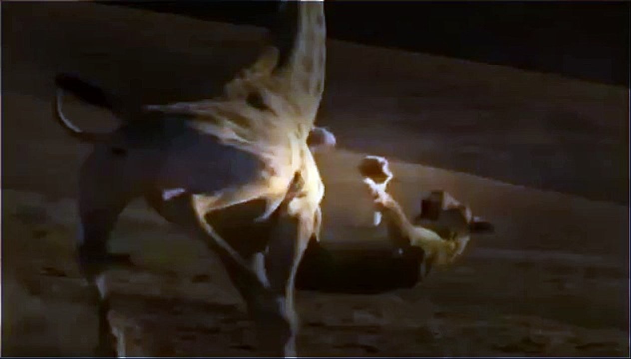 (Documental) "FURIA ANIMAL" - Ataques Reales - LEONES - OSOS - NATGEO WILD.