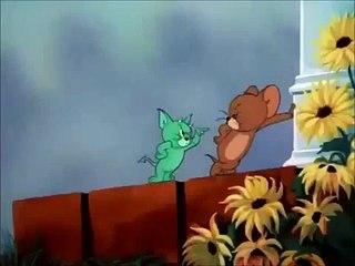 Tom & Jerry - Tom Flirting On The Beach