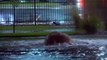 Raw Footage | Street flooding in Sioux Falls, SD. heavy rain