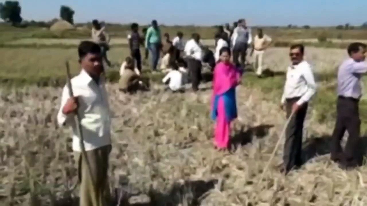 Tiger rescued after getting stuck in a fence in India
