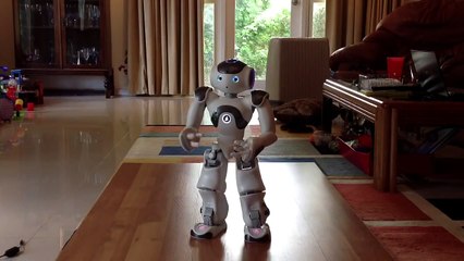Nao - Gangnam Style NAO