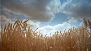 Alan Parsons - L'arc en Ciel