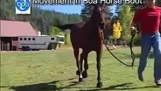 Movement In Boa Horse Boot