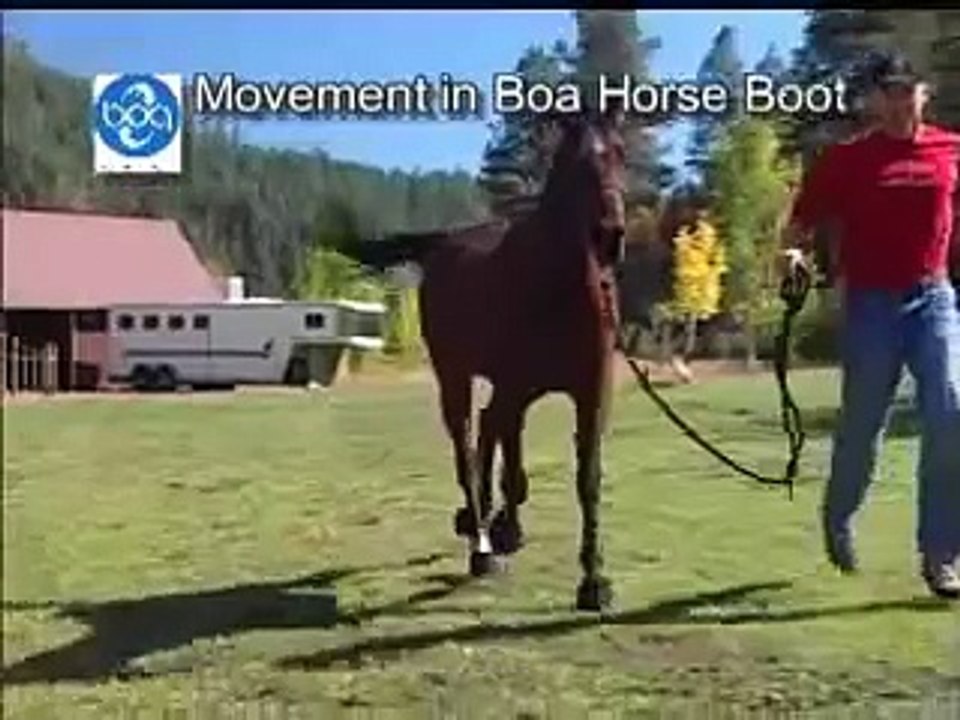 Movement In Boa Horse Boot