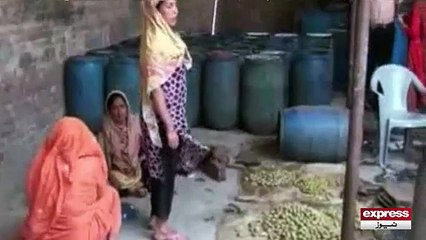 Punjab Food Authority Raid