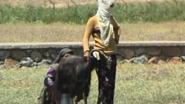 Daweta Welat Birindar - Kürtçe Uzun Hava / Gidilelé