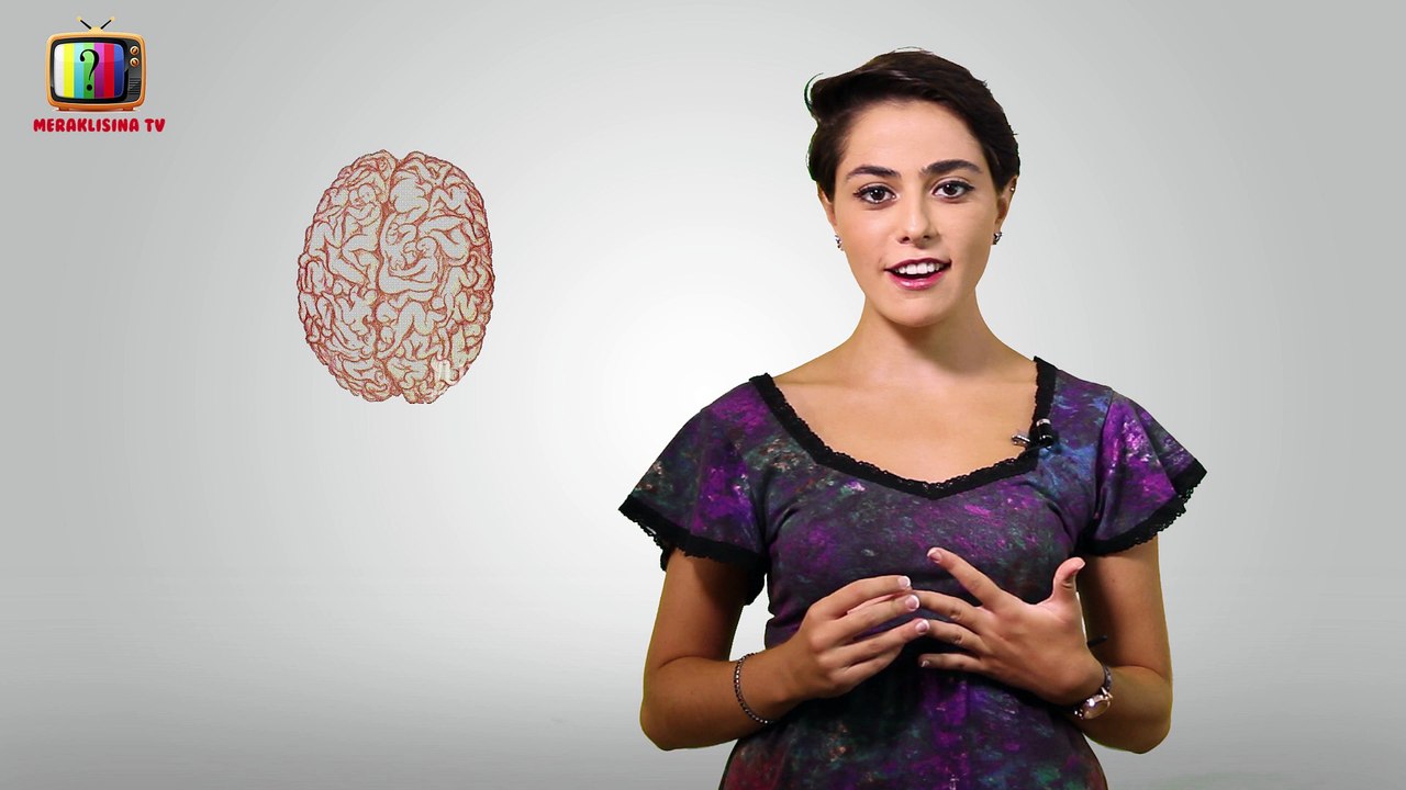 Erkek Beyni Kadın Beyninden Büyük Müdür?