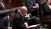 NSW Premier makes finger gesture in Parliament