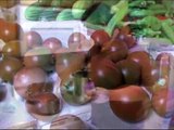 Canning Tomatoes & Okra / Zucchini 2of2
