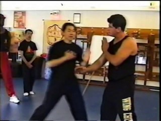 GM Cheung Wing Chun Lau Sau